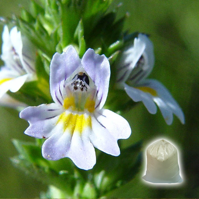 小米草保濕面膜(面膜泥粉)